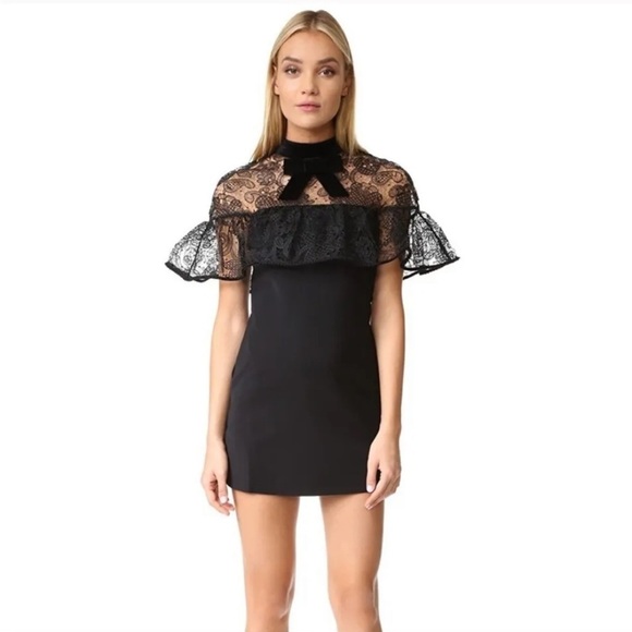 SELF-PORTRAIT
Line Lace Mini Dress - Picture 5 of 15